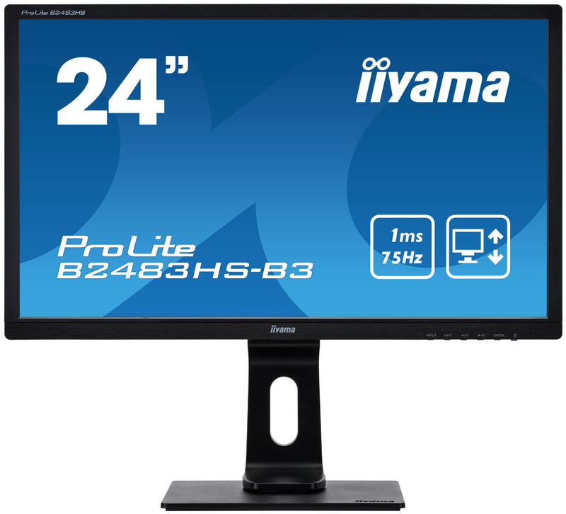 iiyama ProLite b2483hs Monitor 24 Zoll