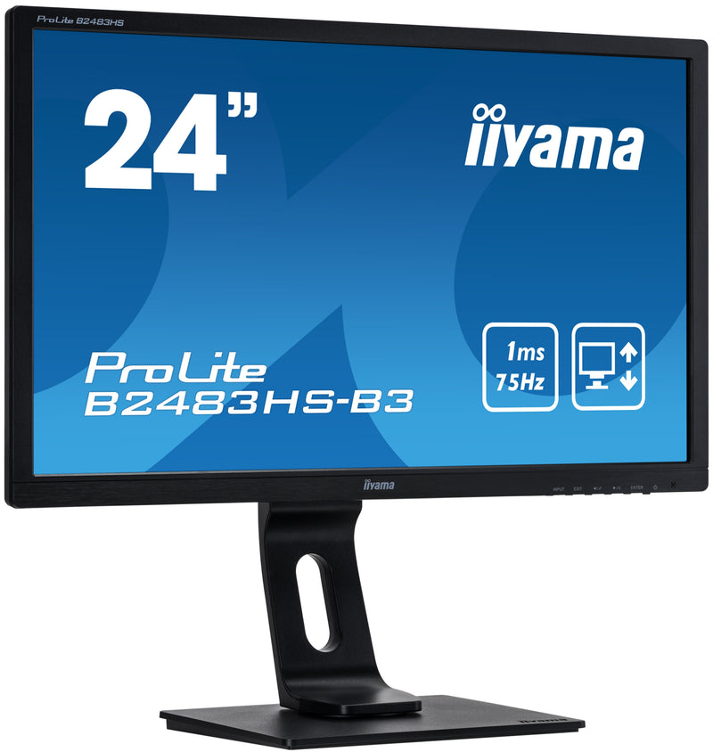 iiyama ProLite b2483hs Monitor 24 Zoll