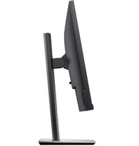 Dell Professional P2417H 24 Zoll