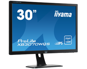 iiyama ProLite XB3070WQS Monitor 30 Zoll