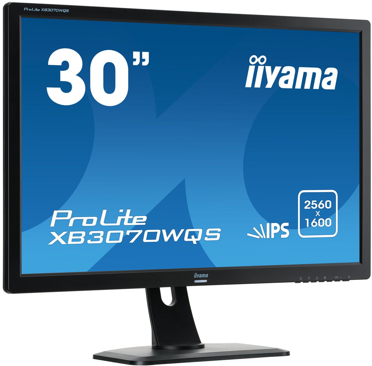 iiyama ProLite XB3070WQS Monitor 30 Zoll